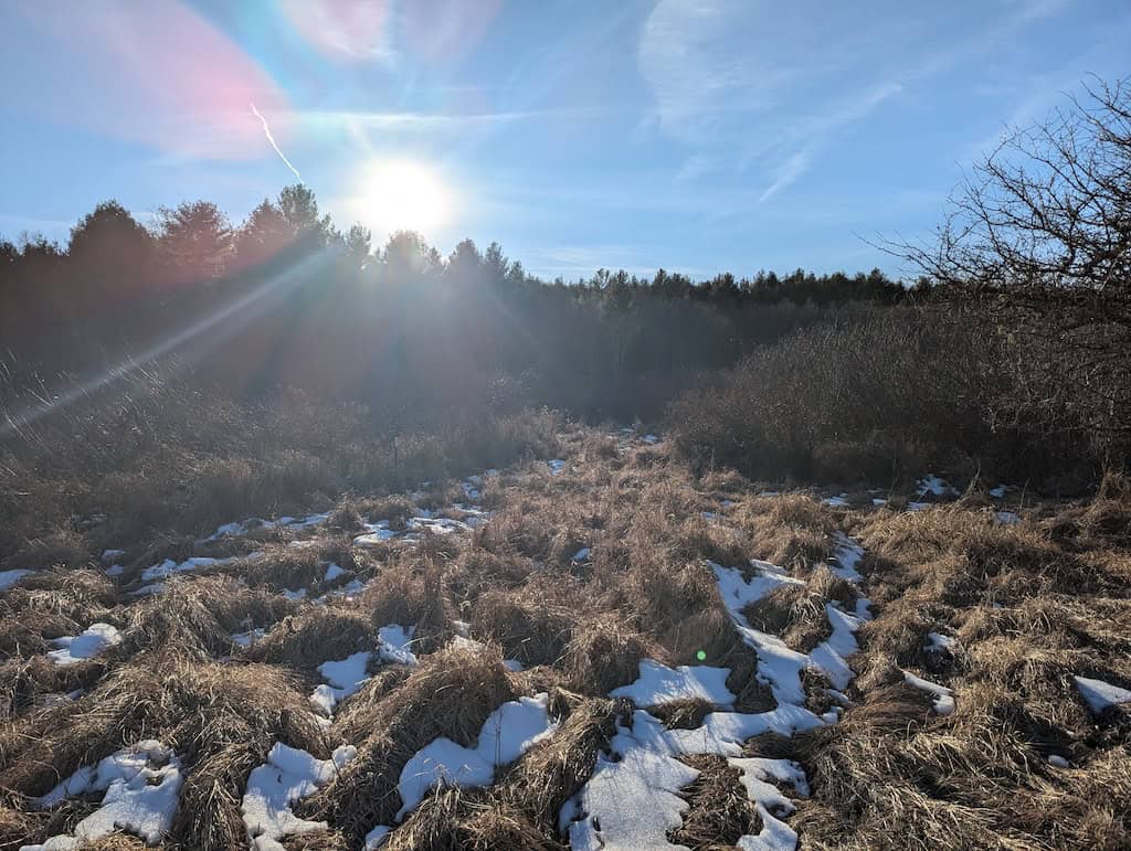 Recreational Land for Sale in Willis, VA