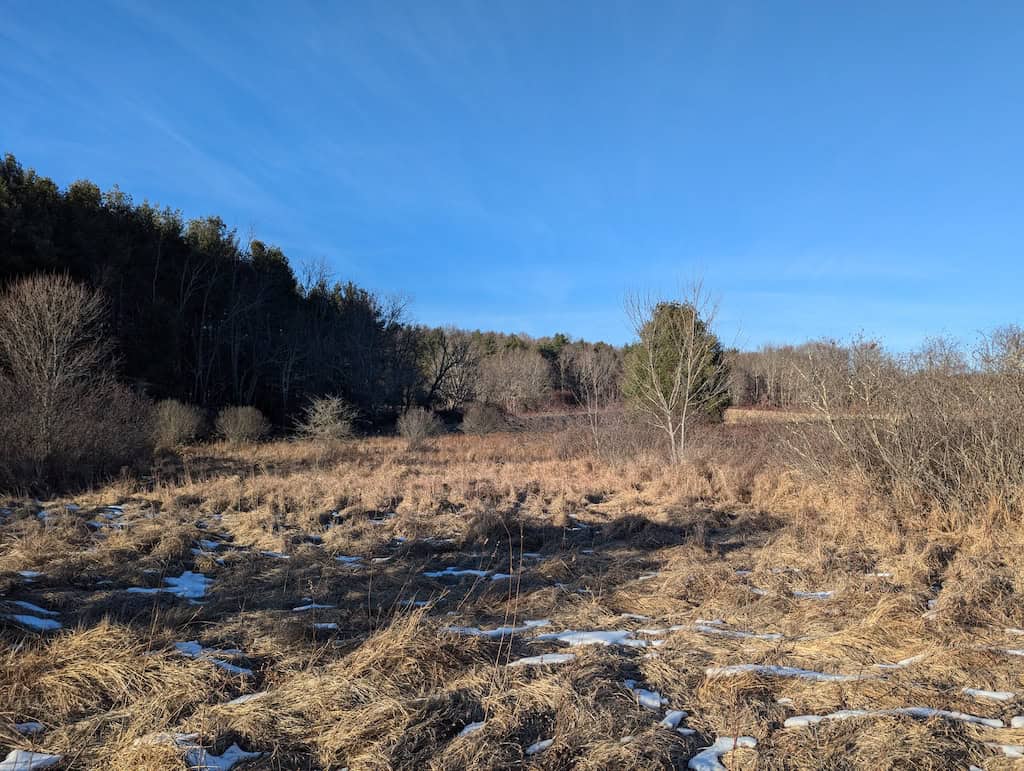 Recreational Land for Sale in Willis, VA