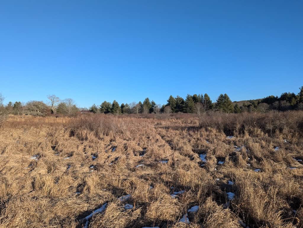 Recreational Land for Sale in Willis, VA