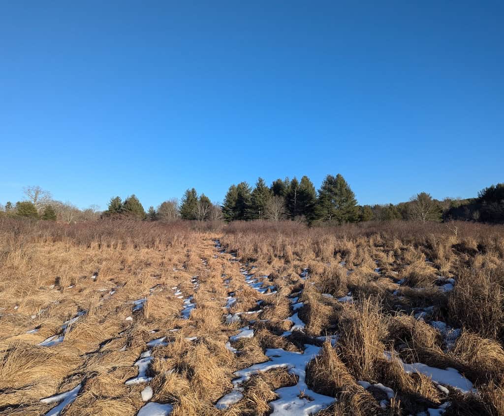 Recreational Land for Sale in Willis, VA