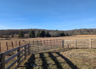 Recreational Land for Sale in Willis, VA