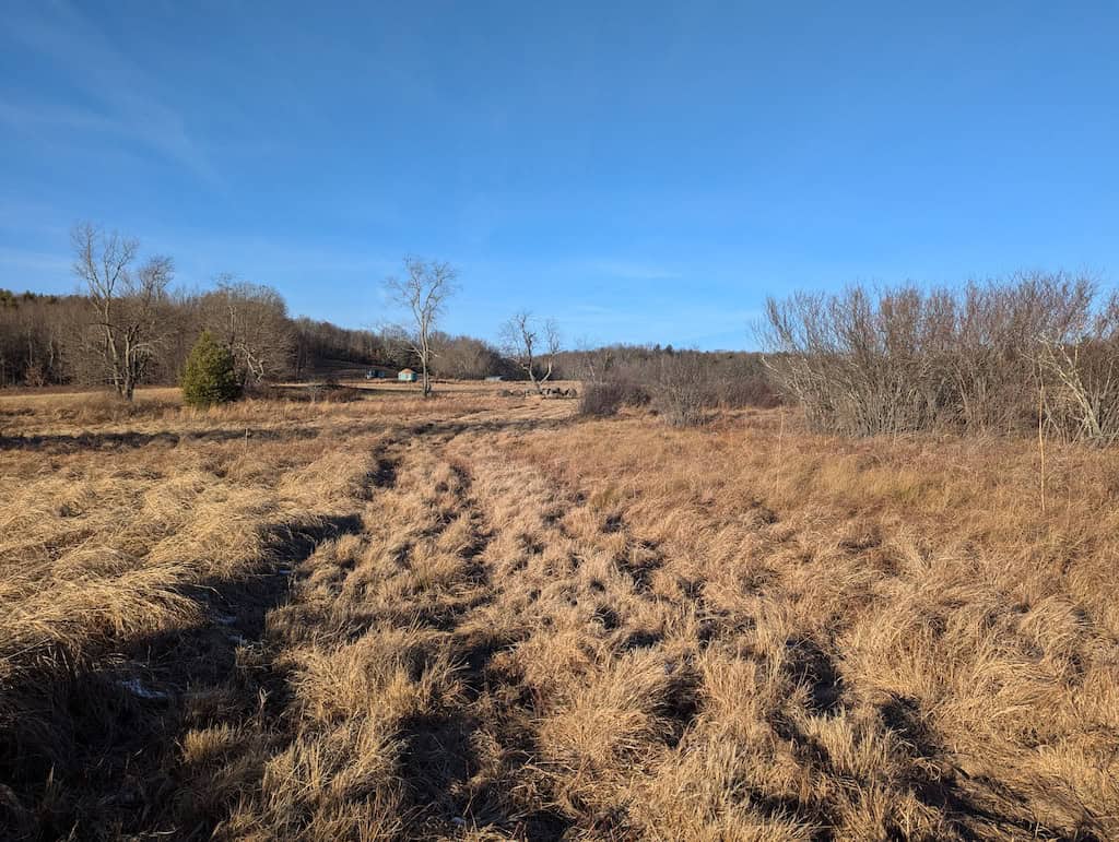 Recreational Land for Sale in Willis, VA