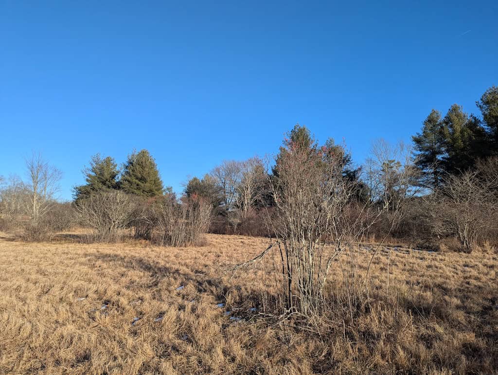 Recreational Land for Sale in Willis, VA
