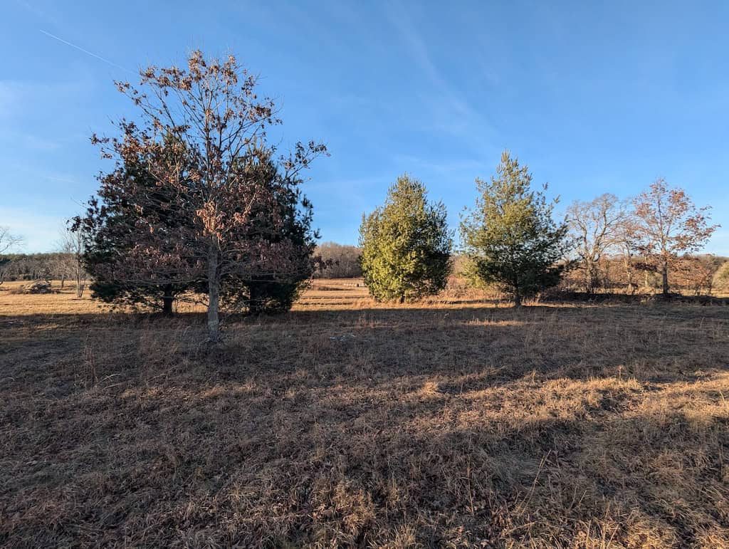 Recreational Land for Sale in Willis, VA