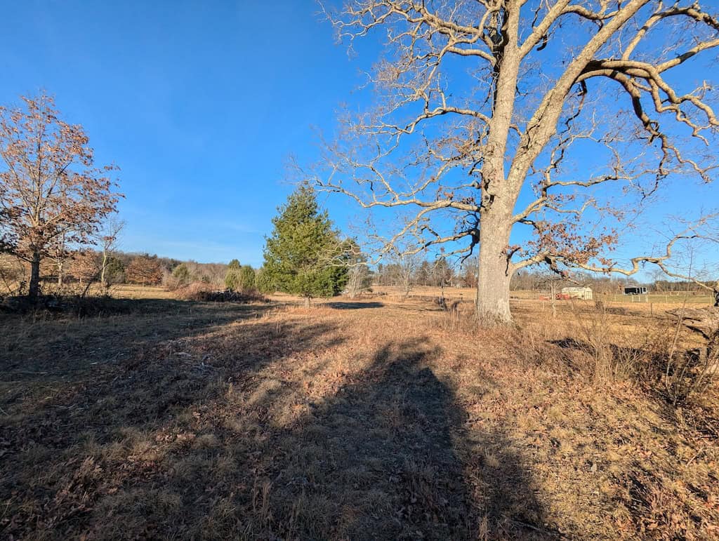 Recreational Land for Sale in Willis, VA