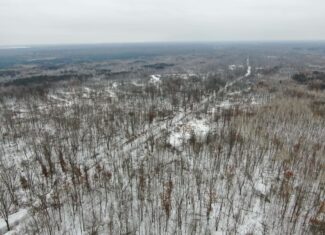 81.54± Acre Parcel in the Town of Clearfield, Juneau County
