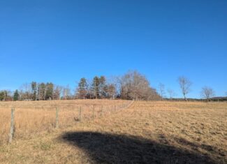 Recreational Land for Sale in Willis, VA