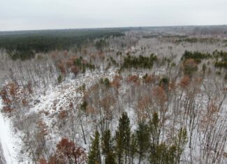 120± Acre Property in the Town of Clearfield, Juneau County