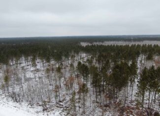 80± acre parcel in the Town of Necedah, Juneau County
