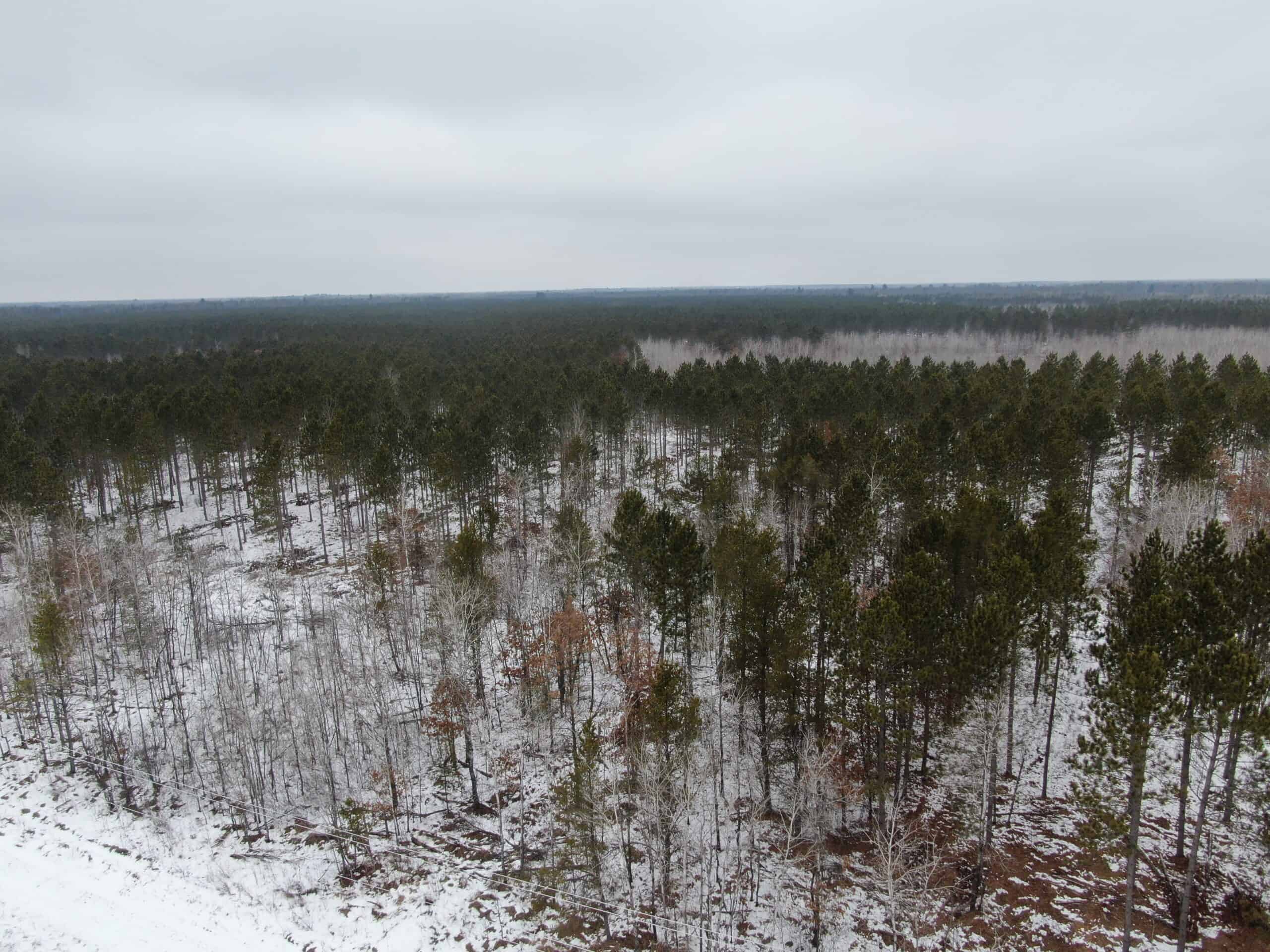 80± acre parcel in the Town of Necedah, Juneau County