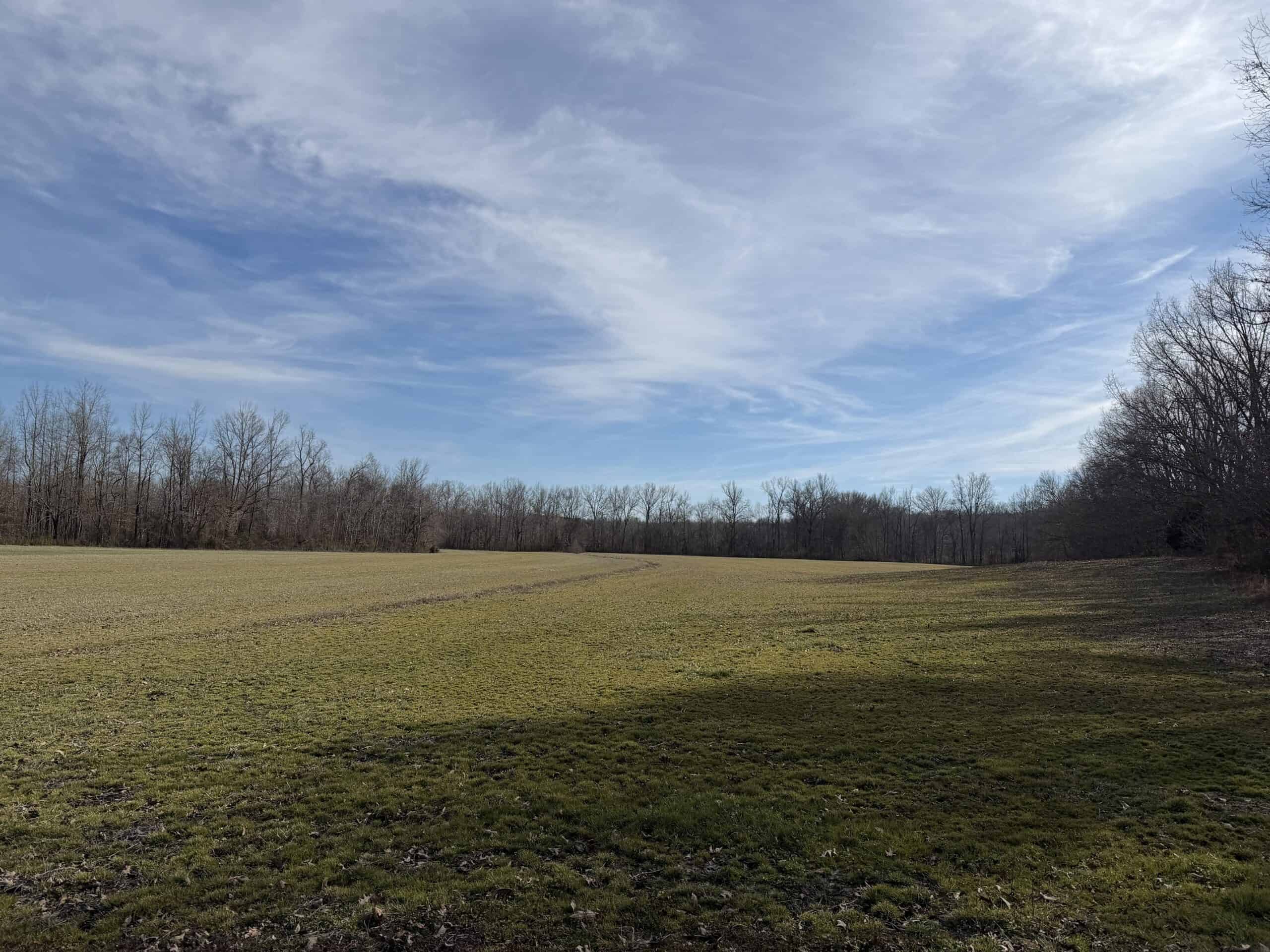 LAND FOR SALE IN TN, 19 AC, TILLABLE, CREEK, BUILDING SITE