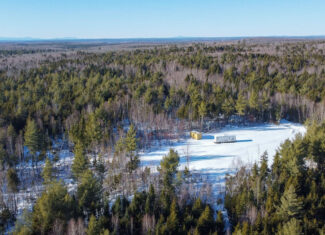 42.9 Acre Off-Grid Parcel – Prentiss, Maine