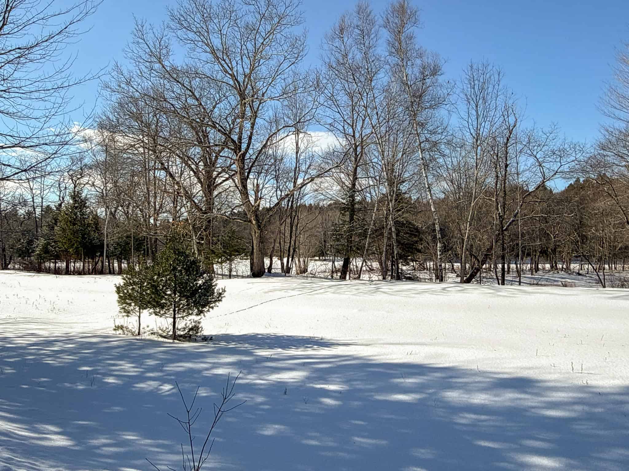 62± Acres with Over a Mile River Frontage in Maine’s North Woods