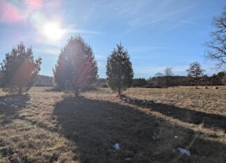 Recreational Land for Sale in Willis, VA