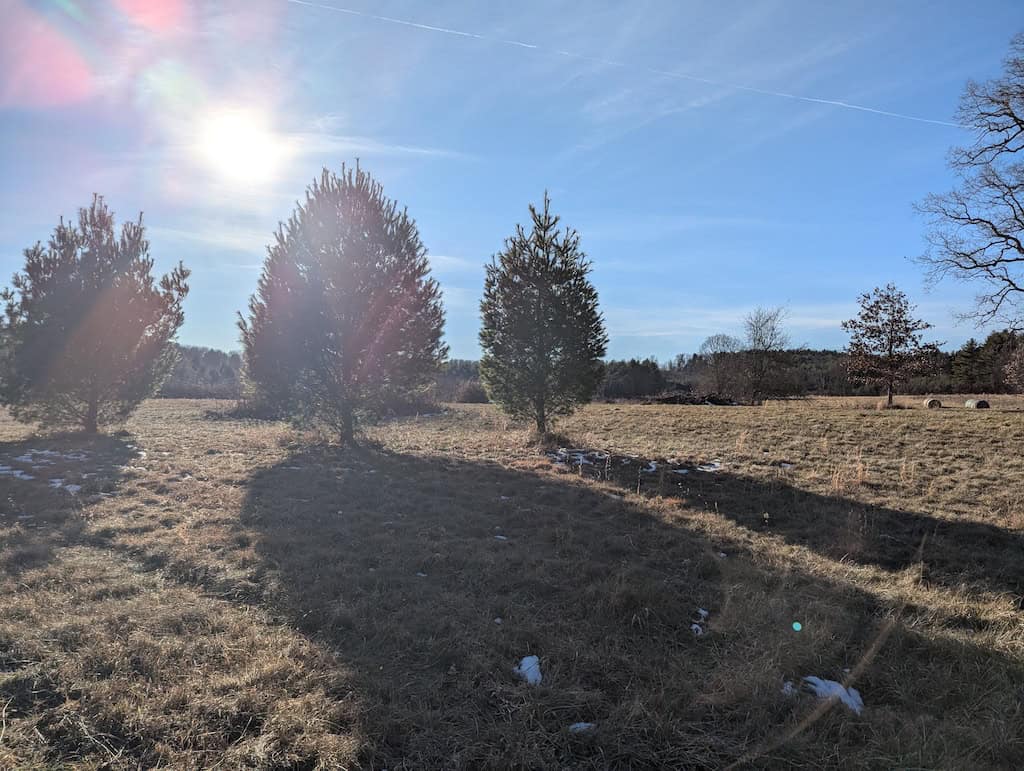 Recreational Land for Sale in Willis, VA