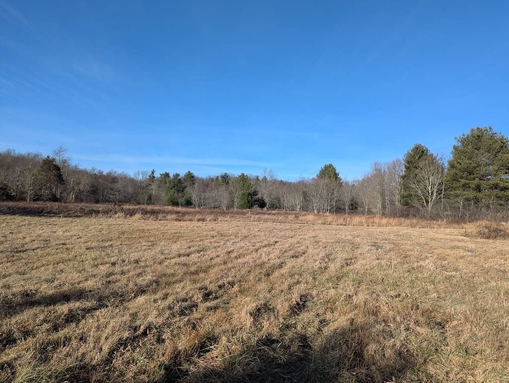 Recreational Land for Sale in Willis, VA