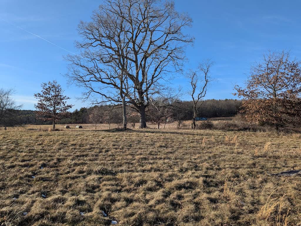 Recreational Land for Sale in Willis, VA