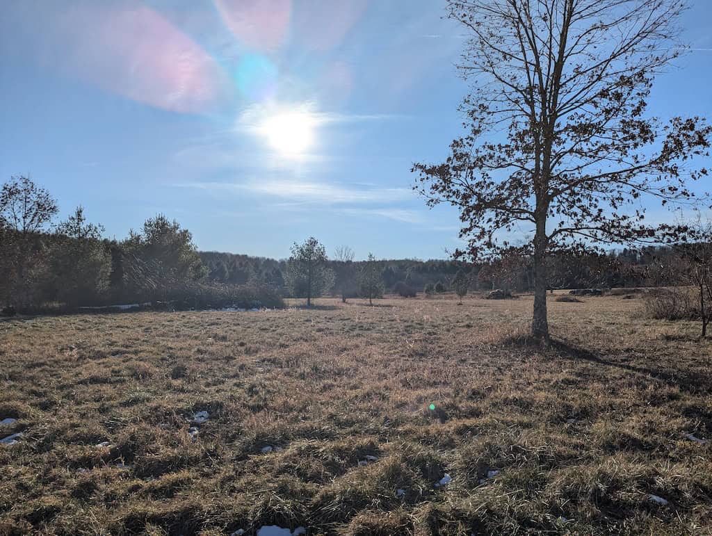 Recreational Land for Sale in Willis, VA
