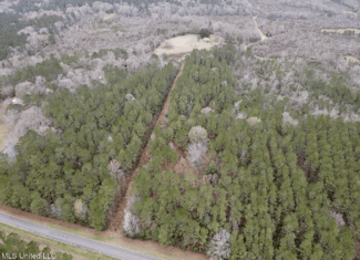 16 Acre Homesite in Magnolia, MS Pike County