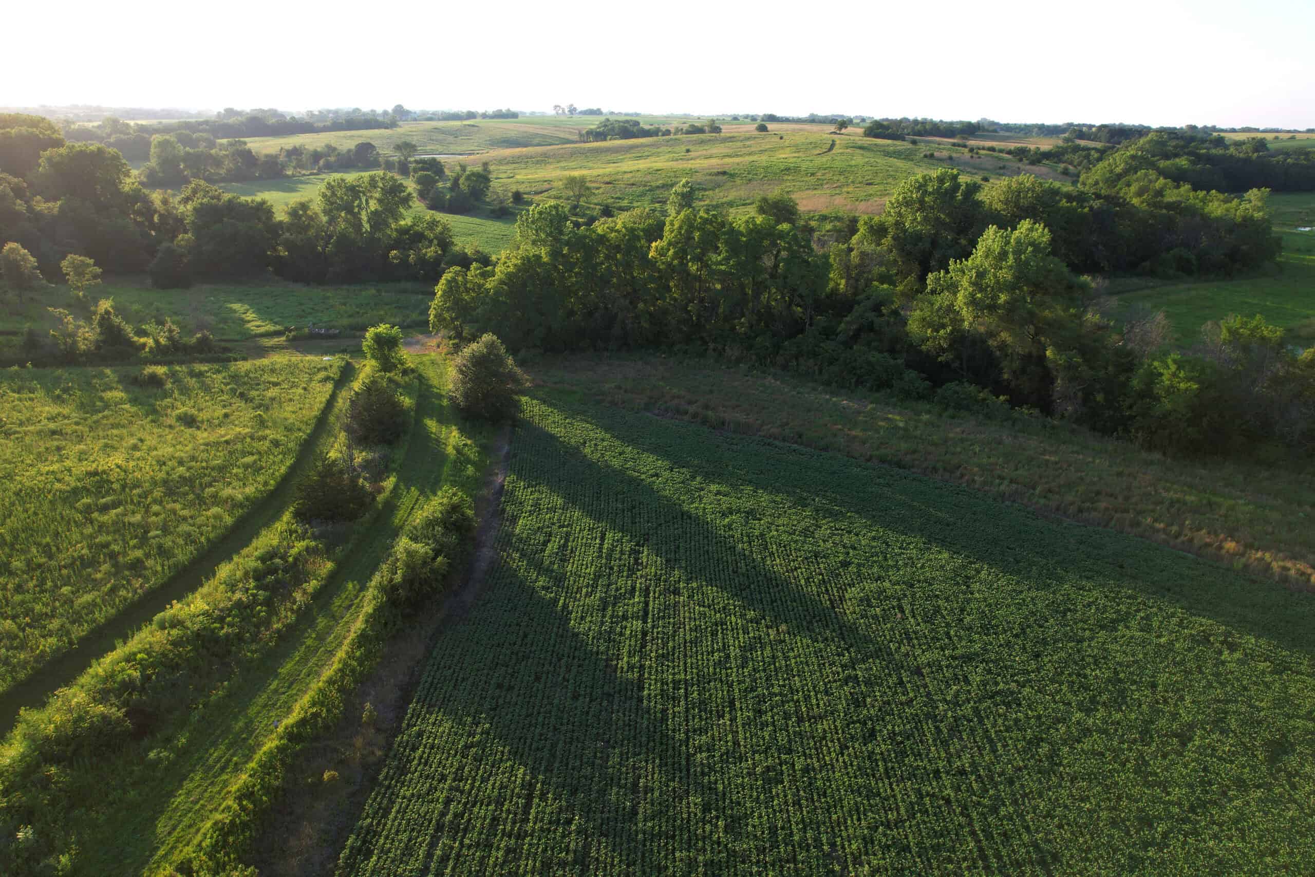 Southern Iowa Combination Hunting Tract