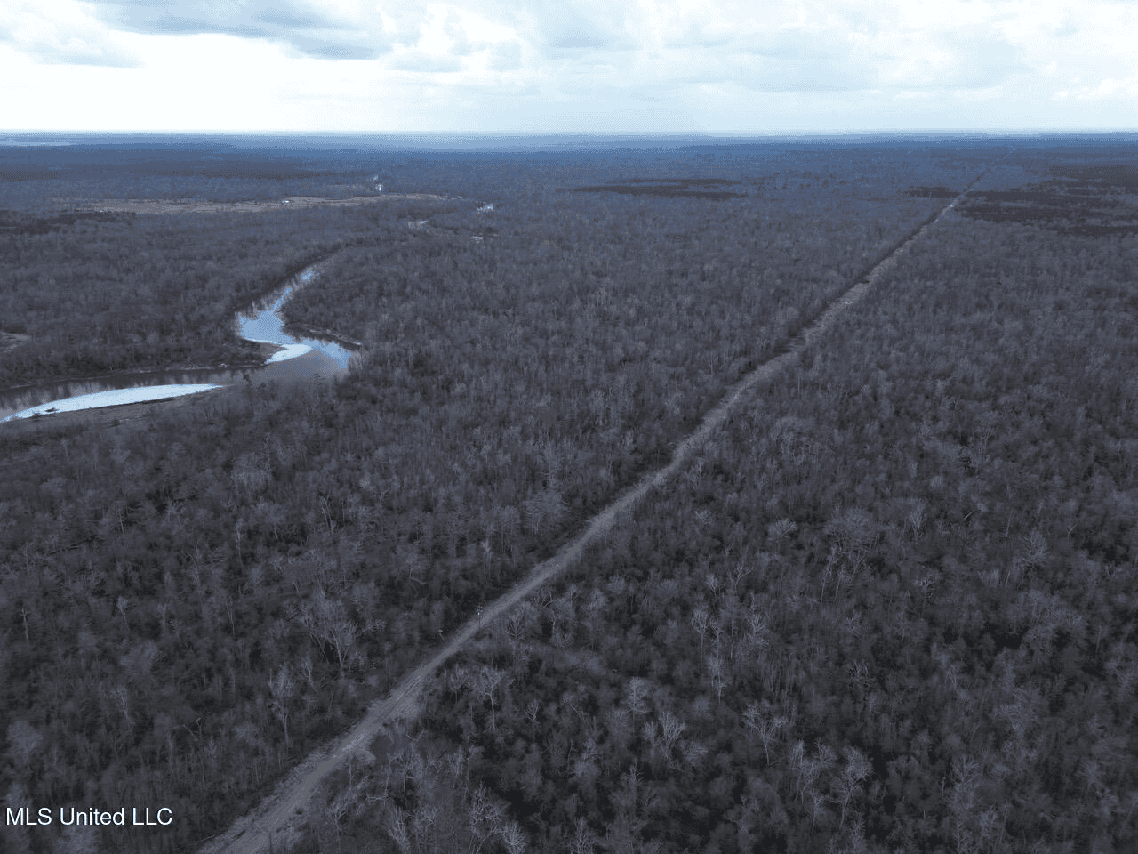 700 Acres in Allen Parish, Louisiana