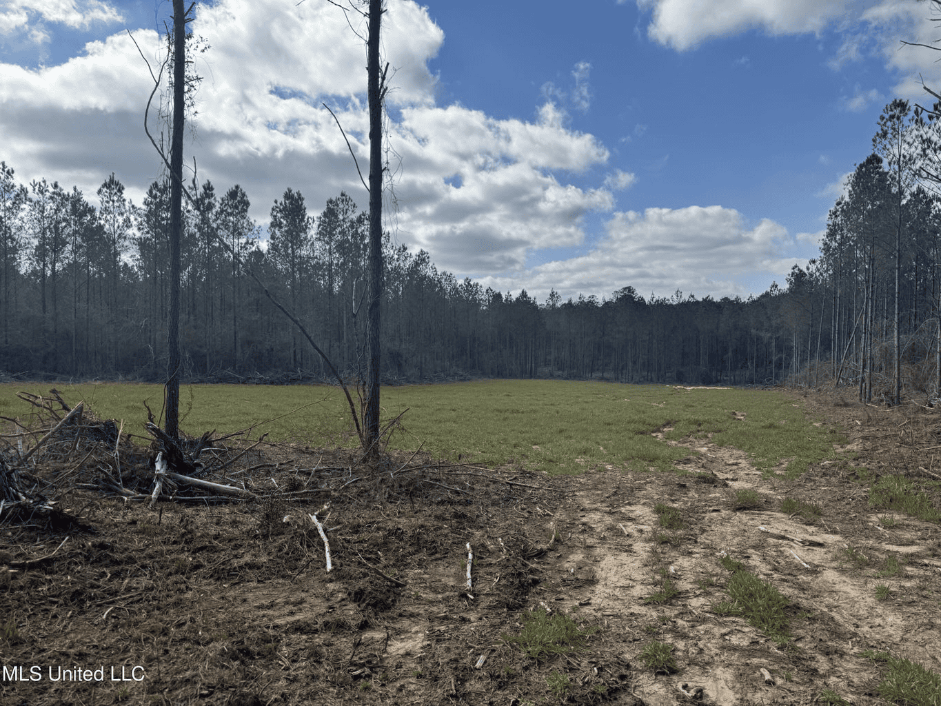 220 Acres South MS Hunting Tract with Camp/Homesite