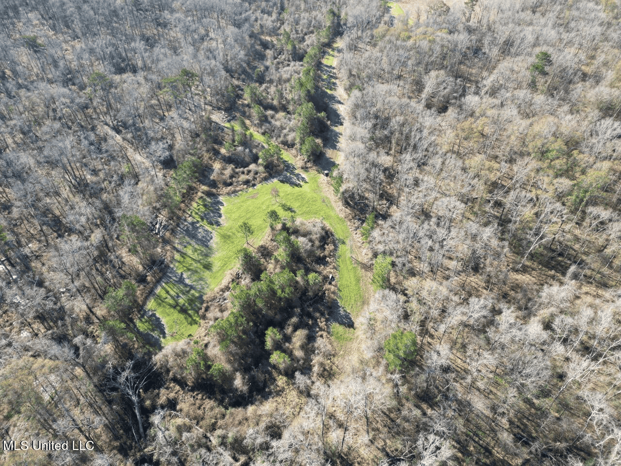 255 Acres East Baton Rouge Parish Near Zachary, LA
