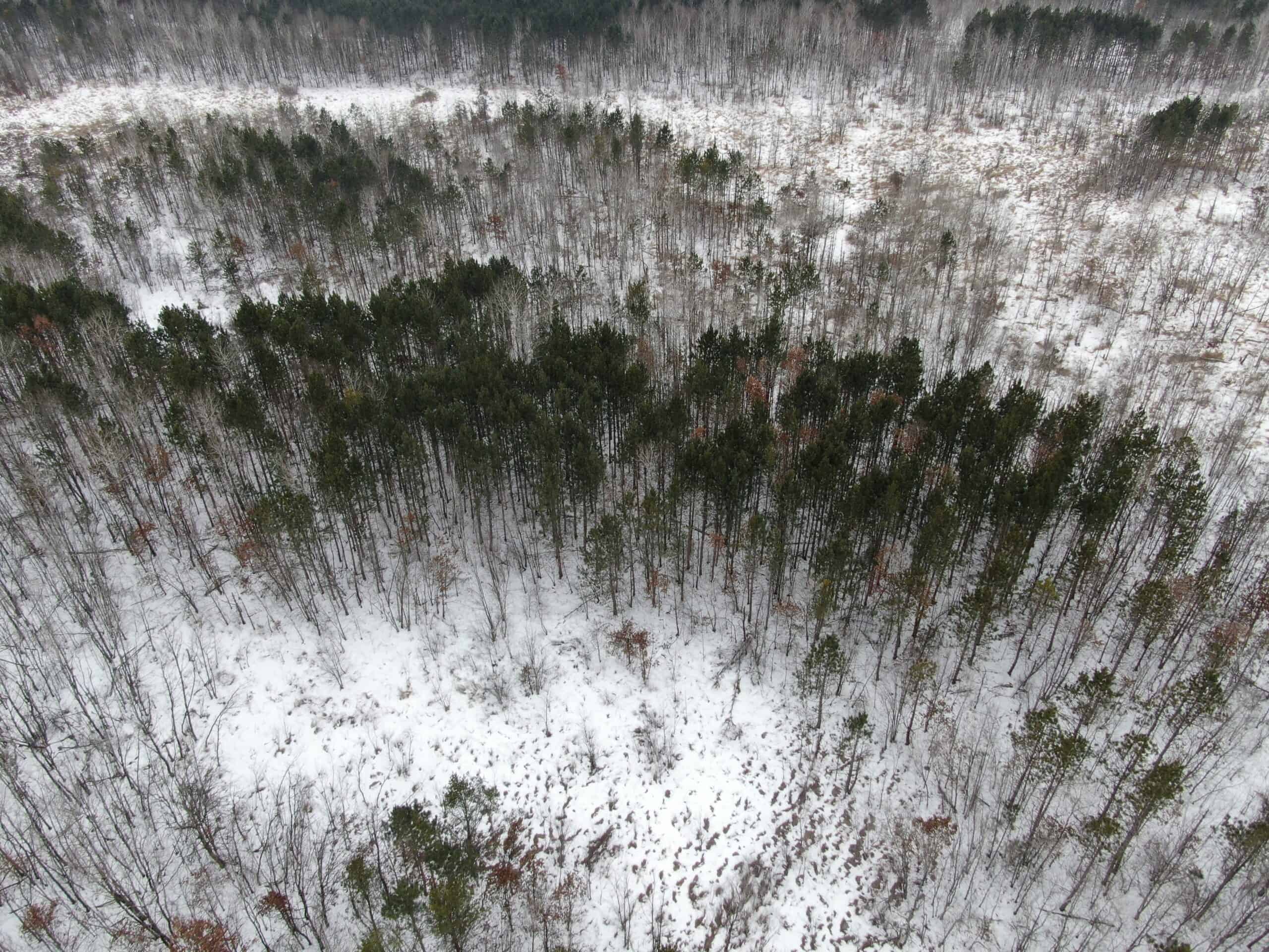 81.64± Acre Parcel in the Town of Clearfield, Juneau County
