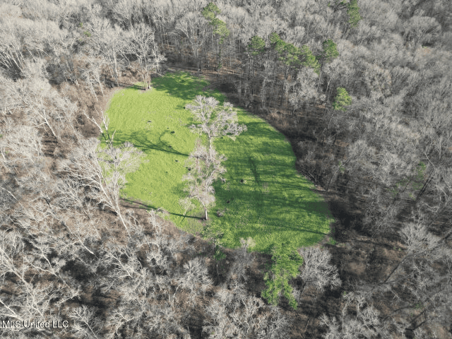 140 Acres with Farmhouse in Lorman, Mississippi