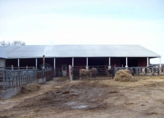 34 Acres – Prime Hunting & Hobby Farm Opportunity | Marquette County, WI