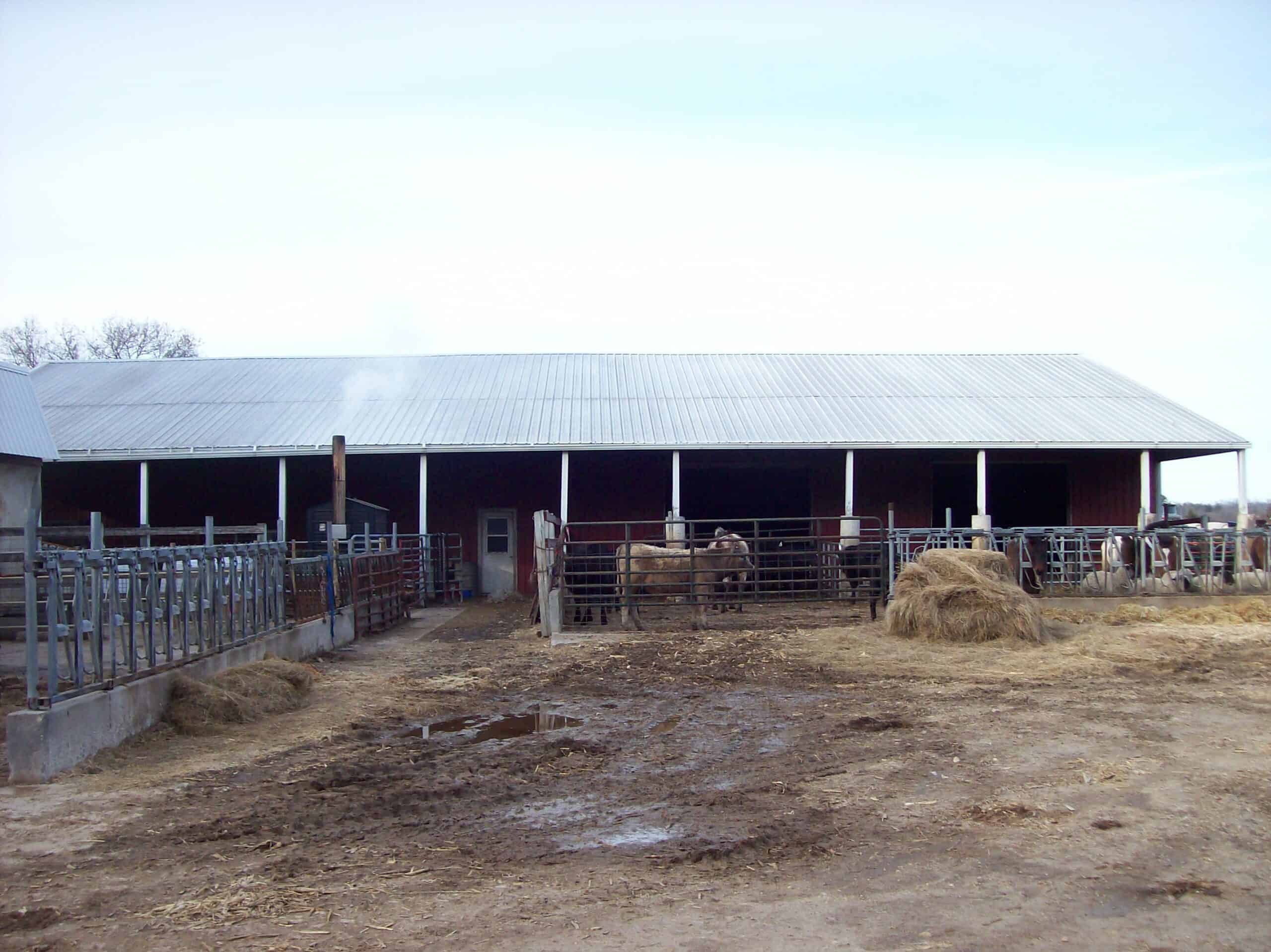 34 Acres – Prime Hunting & Hobby Farm Opportunity | Marquette County, WI