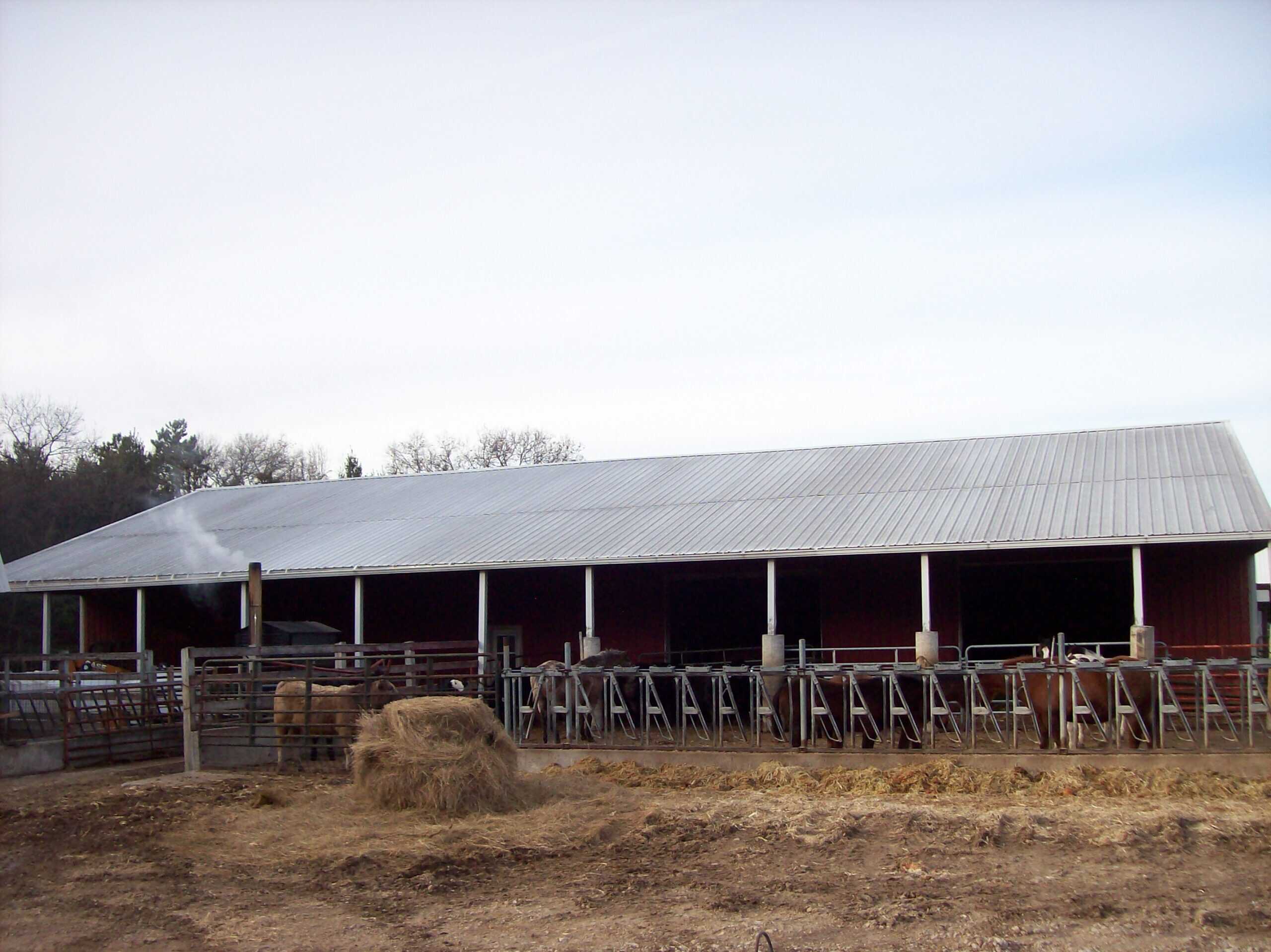 34 Acres – Prime Hunting & Hobby Farm Opportunity | Marquette County, WI