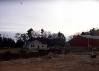 34 Acres – Prime Hunting & Hobby Farm Opportunity | Marquette County, WI
