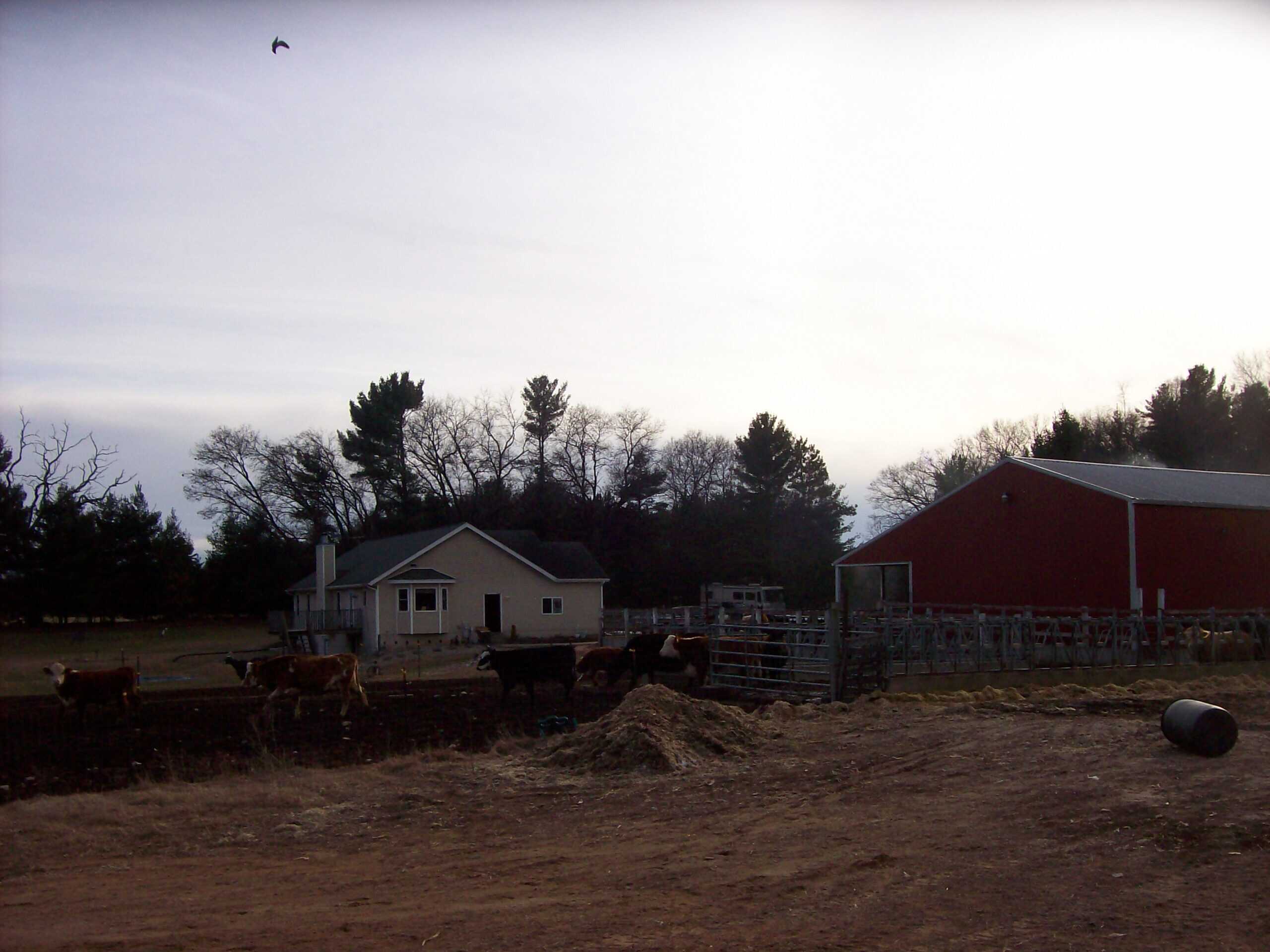 34 Acres – Prime Hunting & Hobby Farm Opportunity | Marquette County, WI