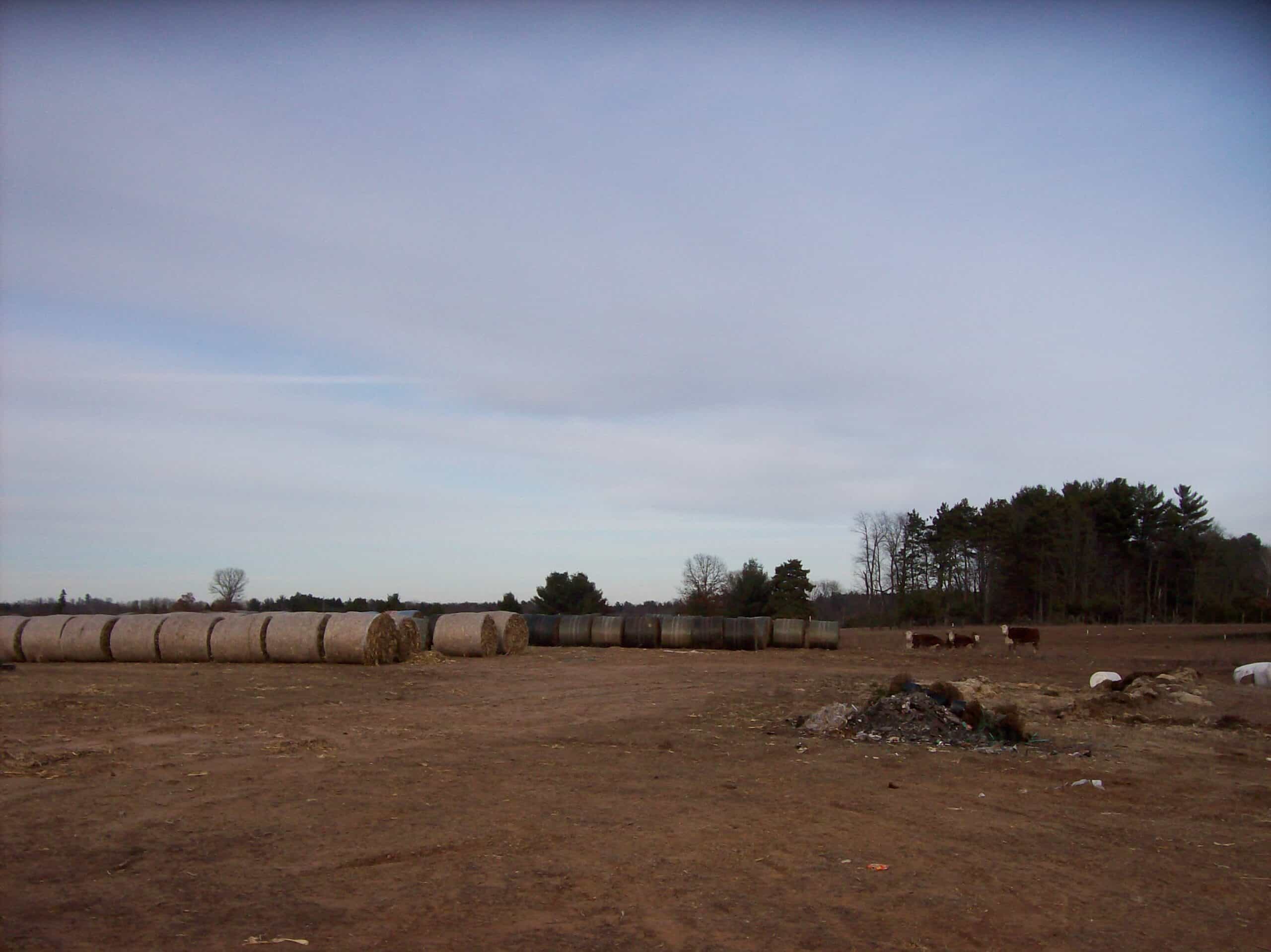 34 Acres – Prime Hunting & Hobby Farm Opportunity | Marquette County, WI