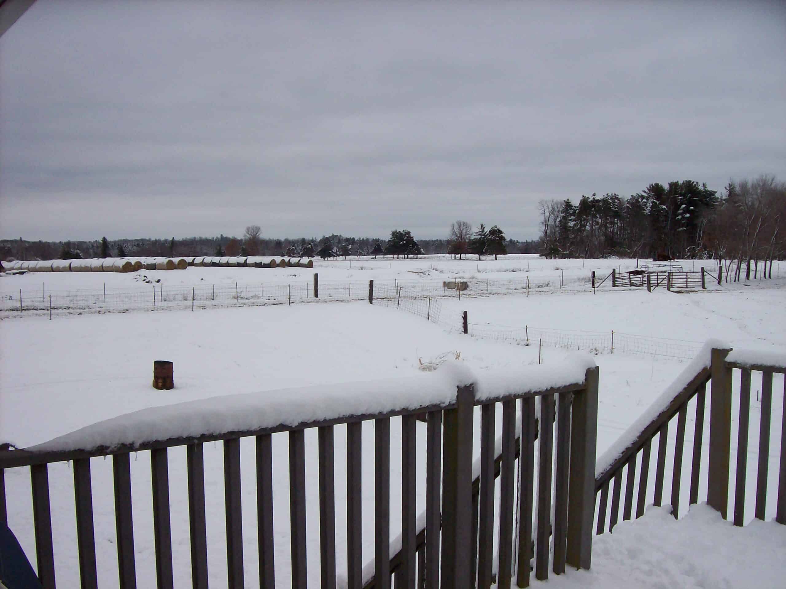 34 Acres – Prime Hunting & Hobby Farm Opportunity | Marquette County, WI