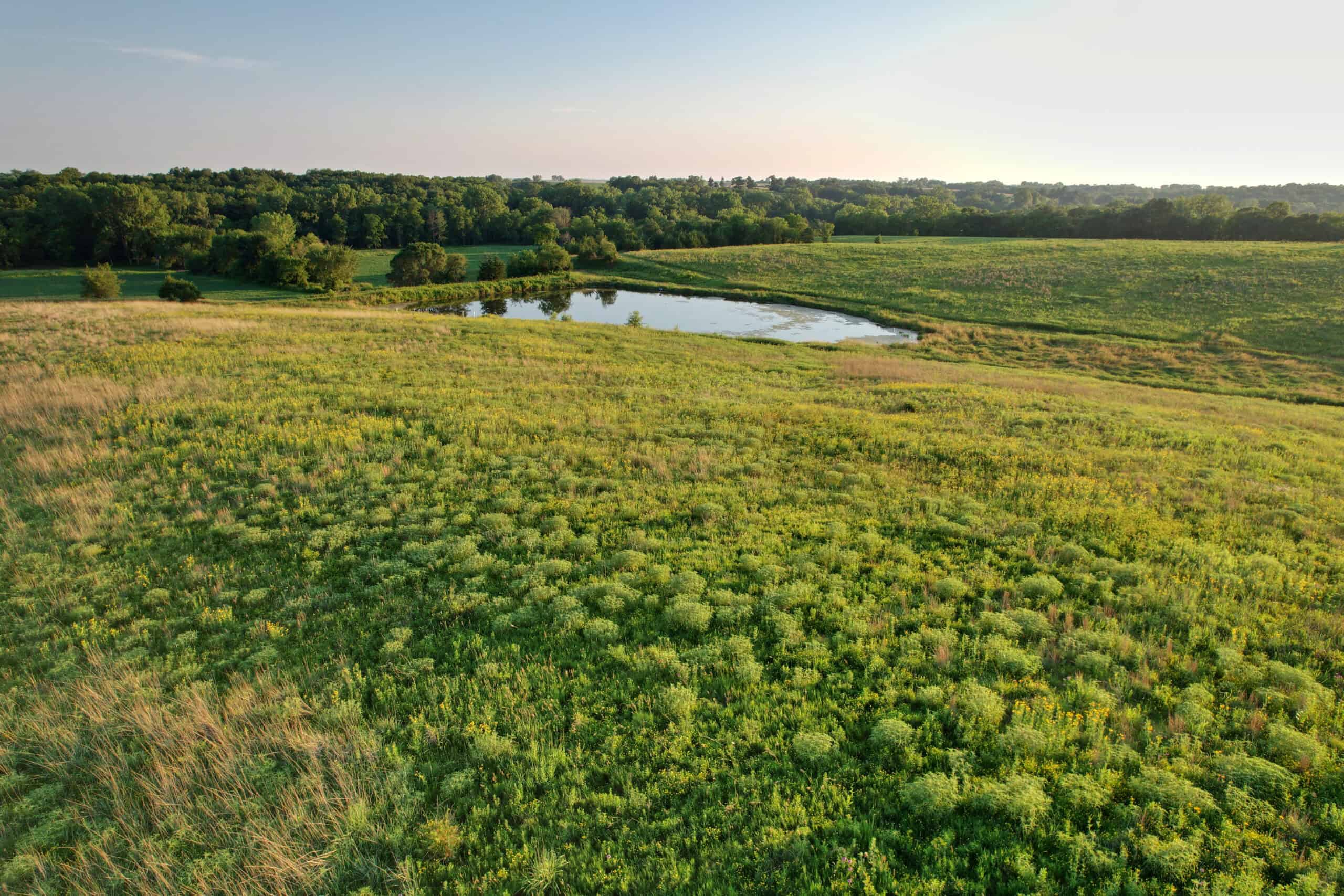 Southern Iowa Combination Hunting Tract