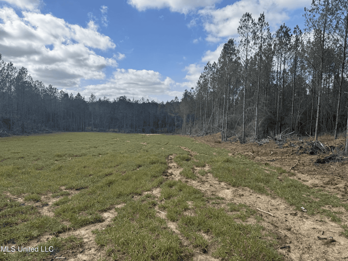 220 Acres South MS Hunting Tract with Camp/Homesite
