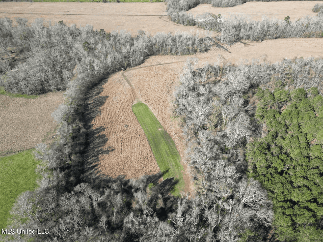 255 Acres East Baton Rouge Parish Near Zachary, LA