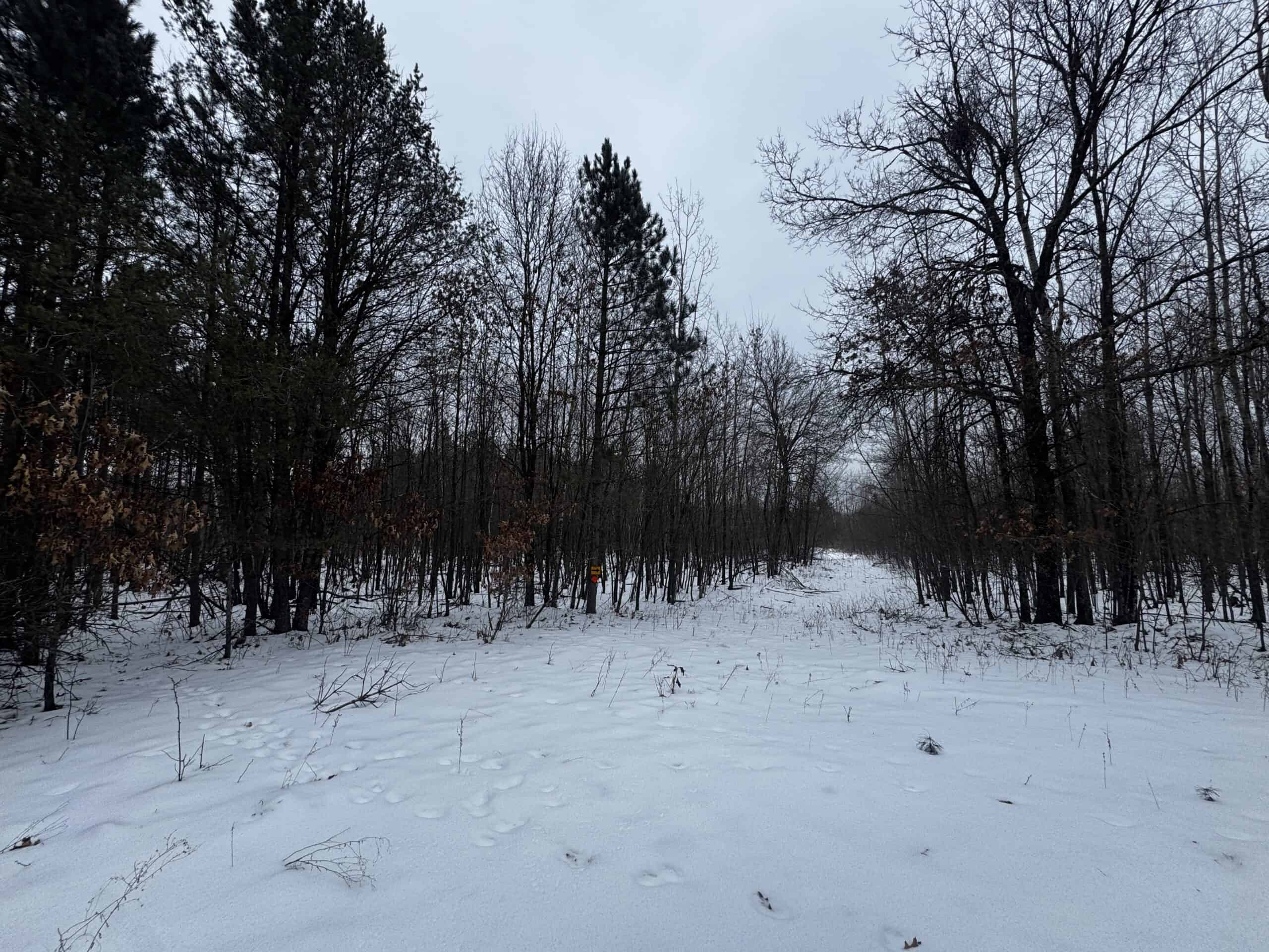 81.64± Acre Parcel in the Town of Clearfield, Juneau County