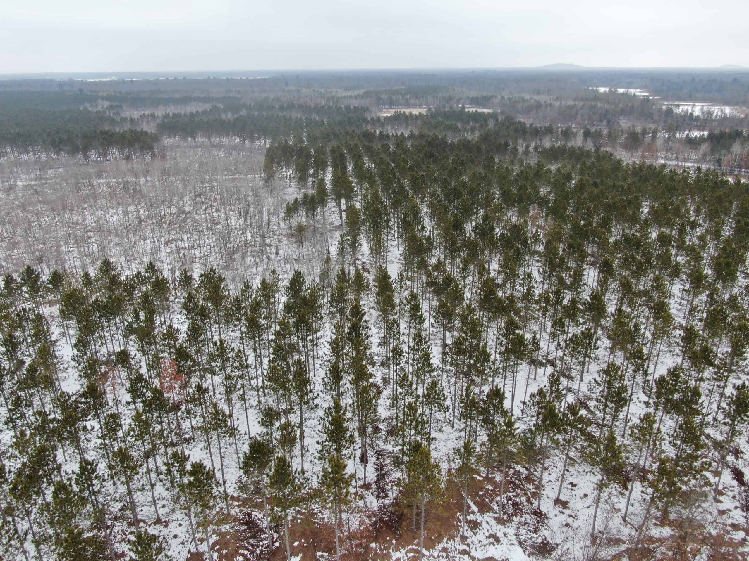 120± acre tract in the Town of Clearfield, Juneau County