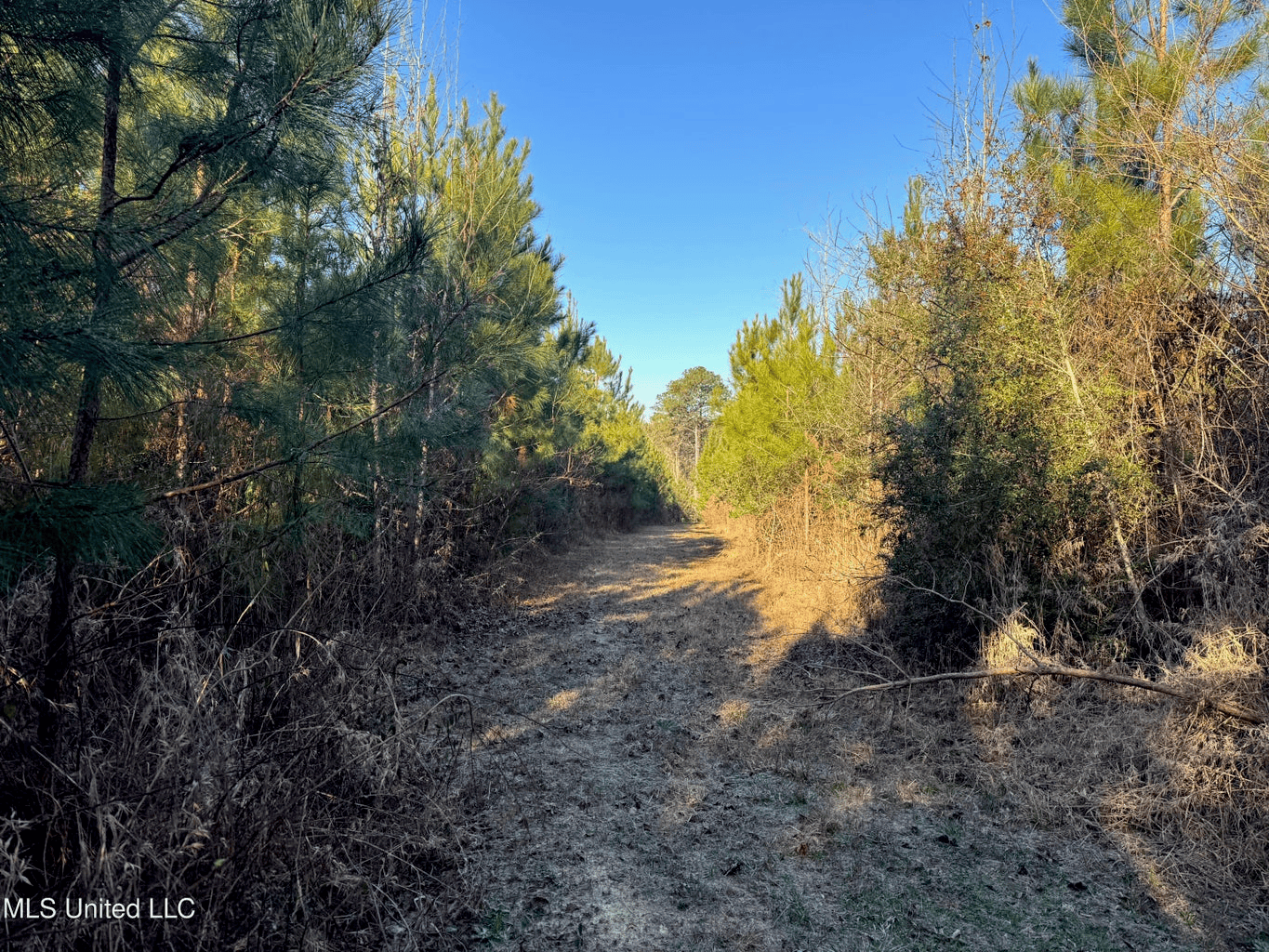 South MS Camp and Land Bordering the National Forest