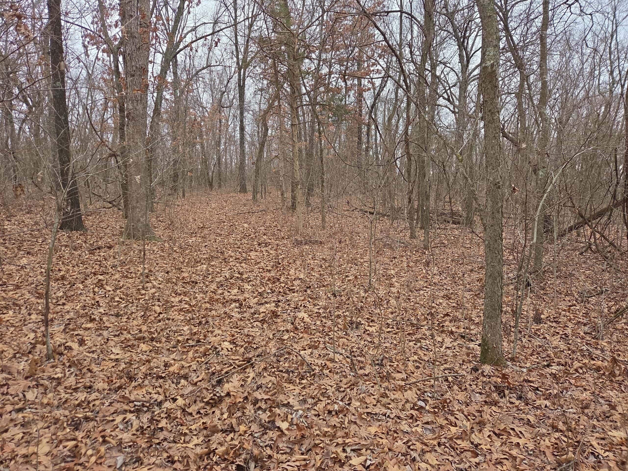 00 N Dade 237 Walnut Grove, MO 65770