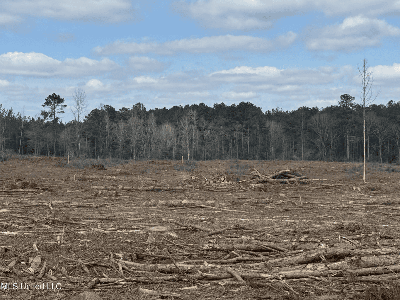 220 Acres South MS Hunting Tract with Camp/Homesite