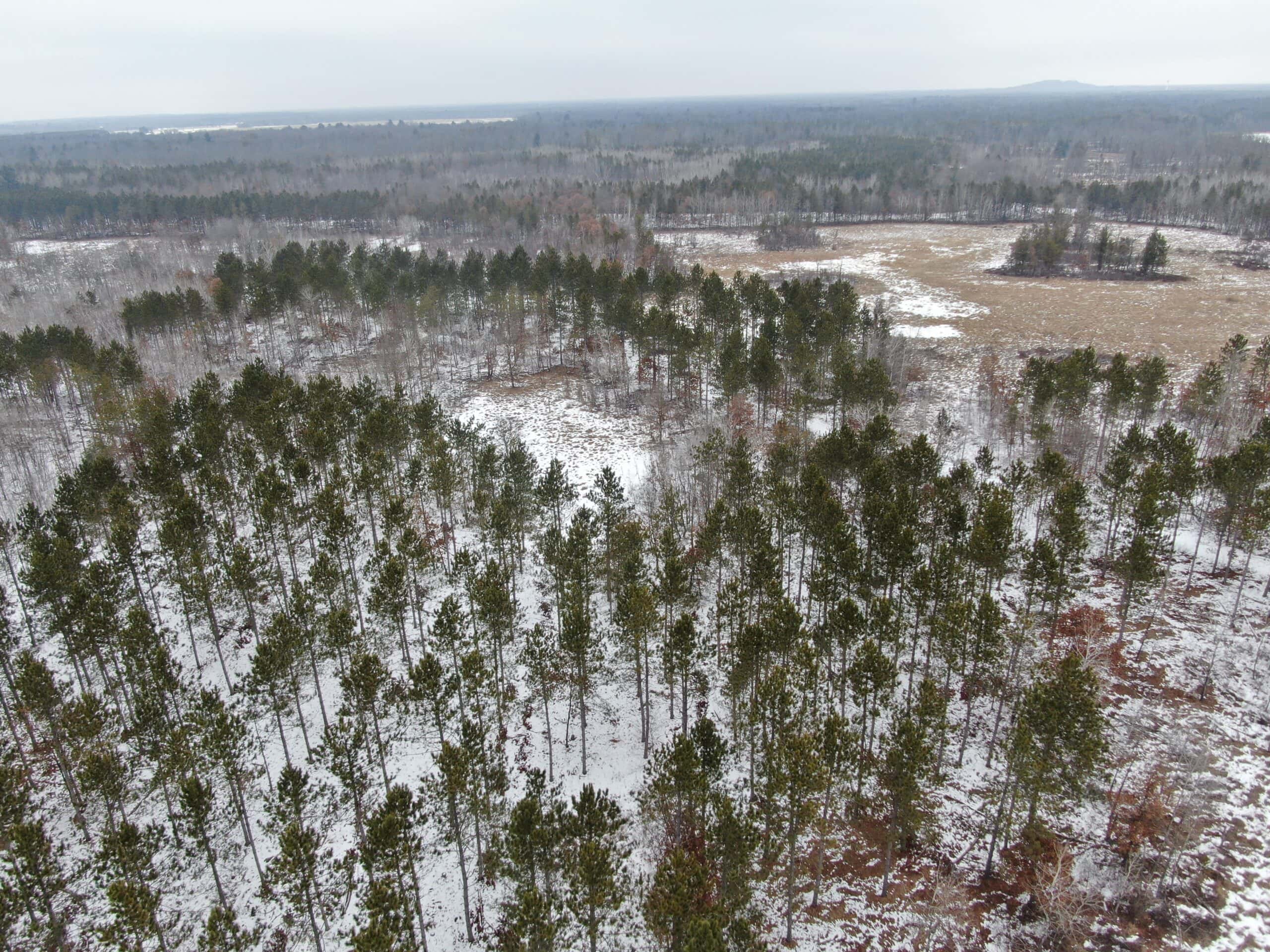 120± acre tract in the Town of Clearfield, Juneau County