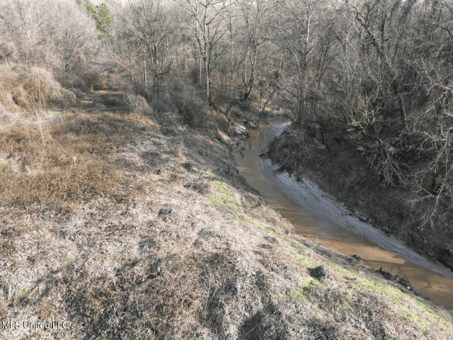 140 Acres with Farmhouse in Lorman, Mississippi