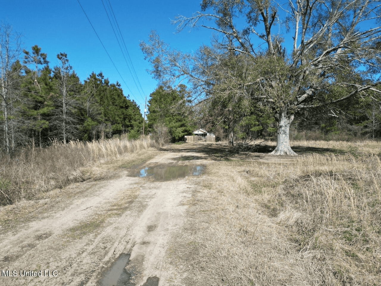 Tensas Riverfront Hunting Land Concordia Parish, LA