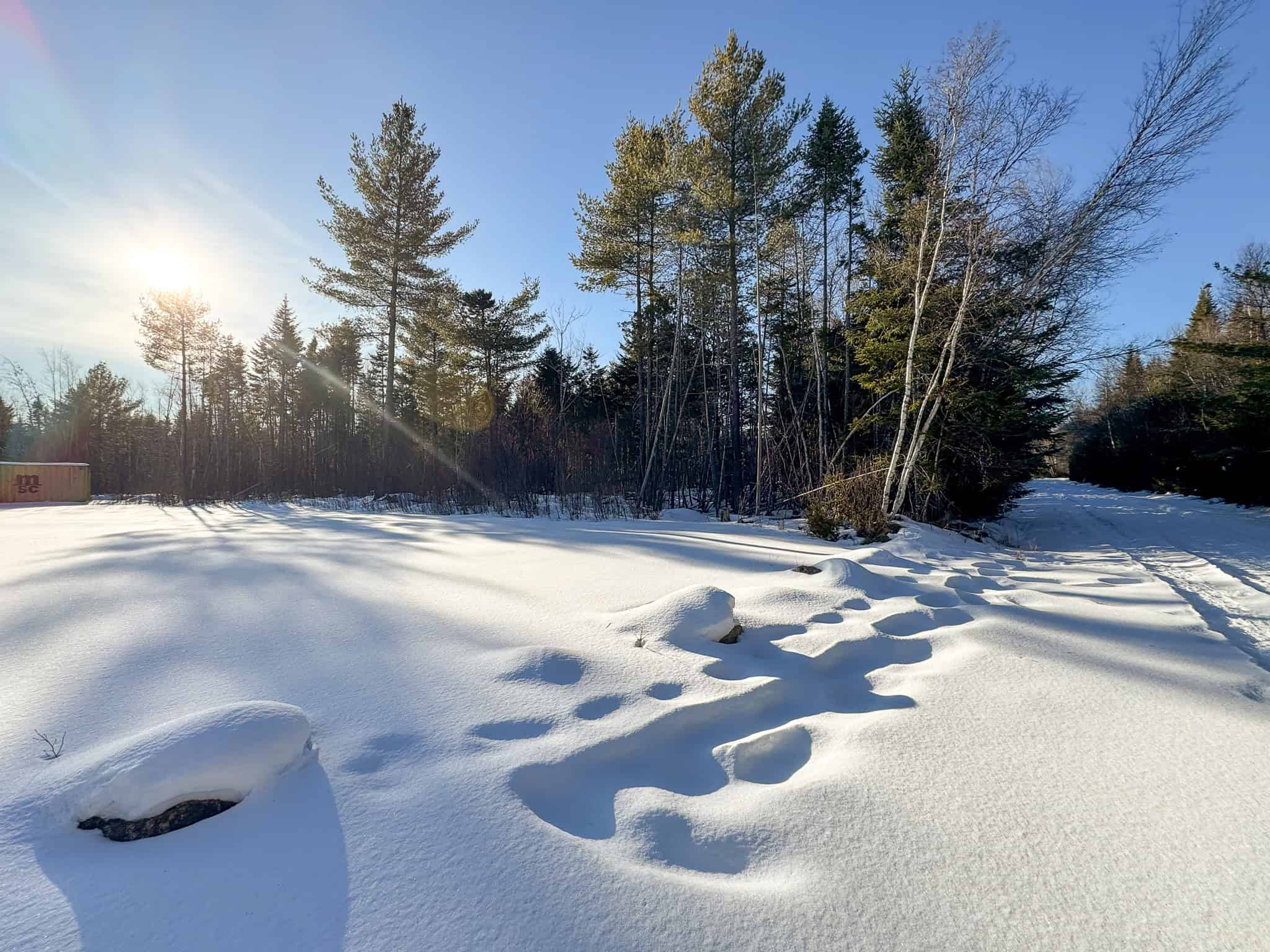 42.9 Acre Off-Grid Parcel – Prentiss, Maine