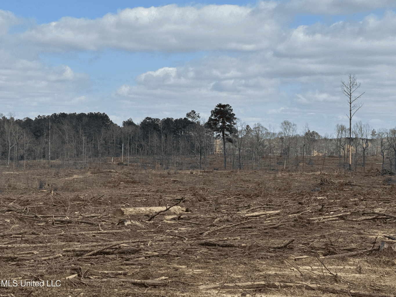 220 Acres South MS Hunting Tract with Camp/Homesite