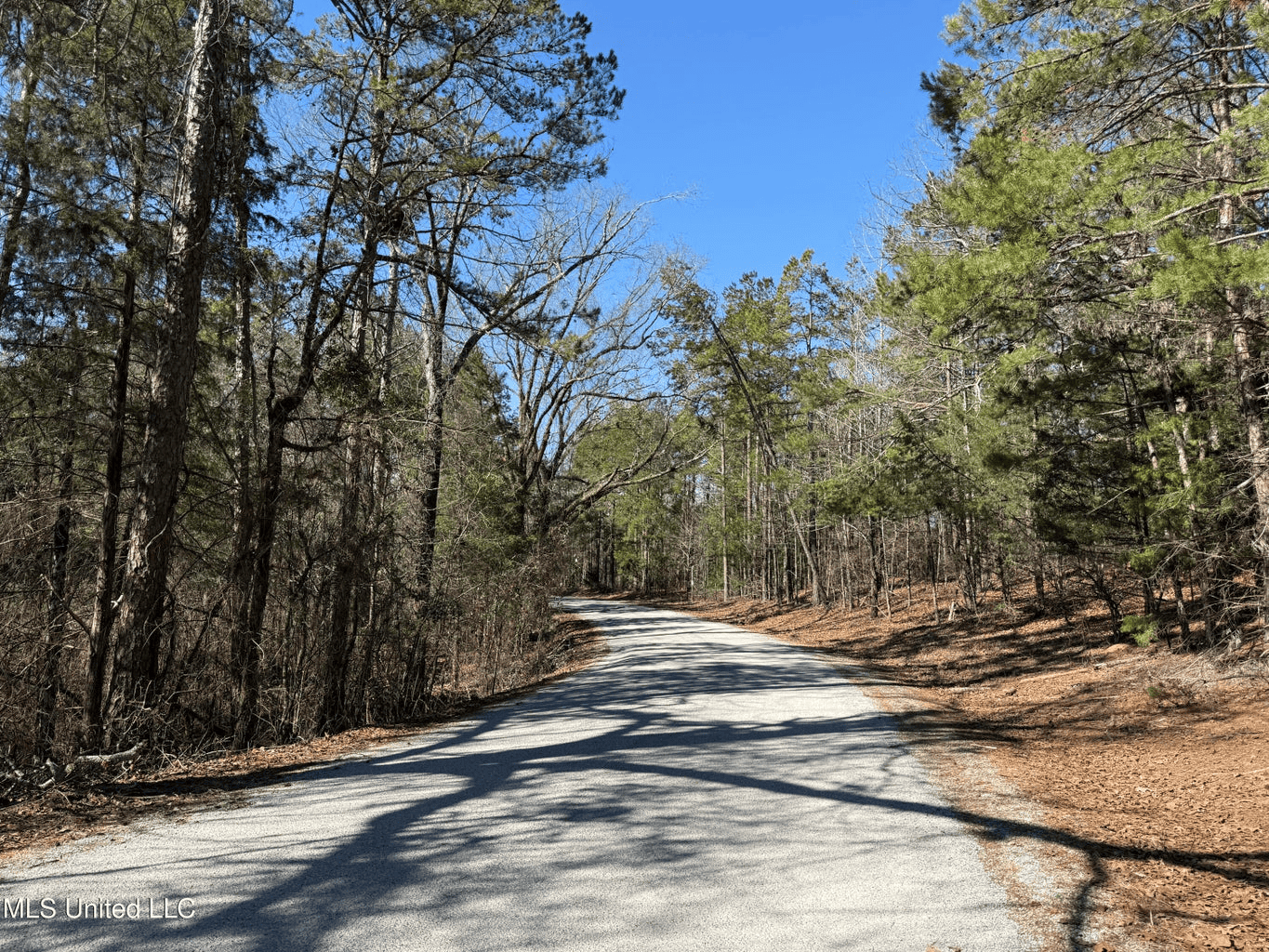 Hunting Land for Sale in Yalobusha County, MS